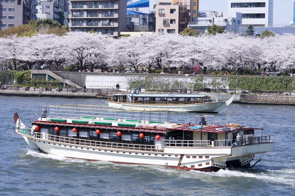 満開の桜が咲いた隅田川を登っていく2隻の屋形船