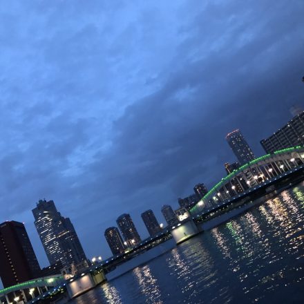 船上から見る街の夜景とライトアップされた橋
