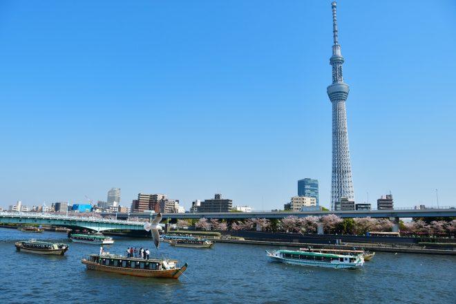 桜の咲いた隅田川を航行する多数の屋形船と東京スカイツリー