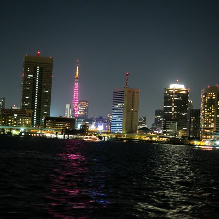 海から見る東京の夜景