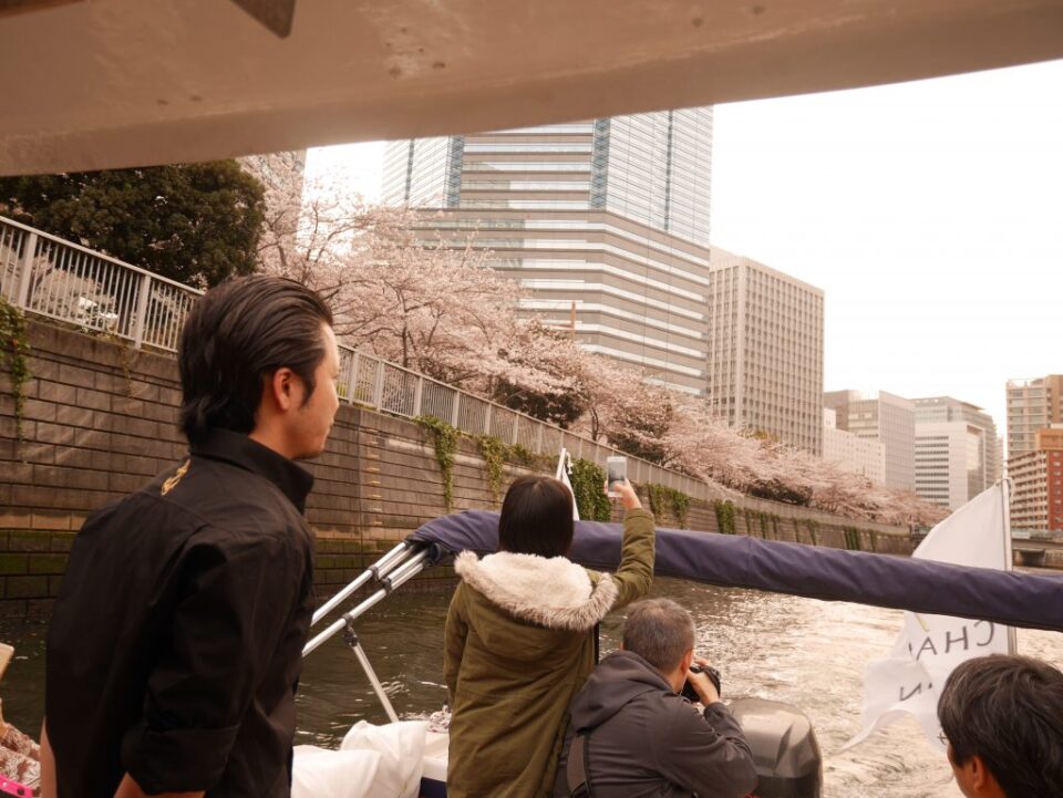 船の上から桜並木を見る乗客