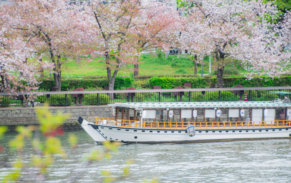 桜並木の下を屋形船が通る