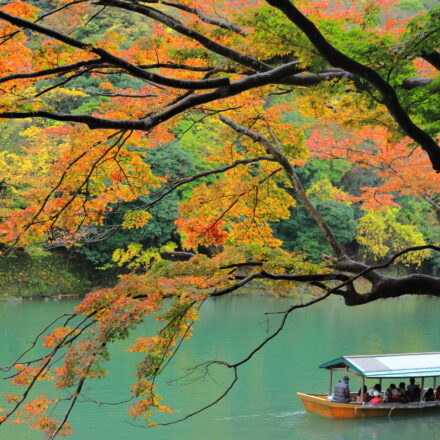 紅葉と屋形船