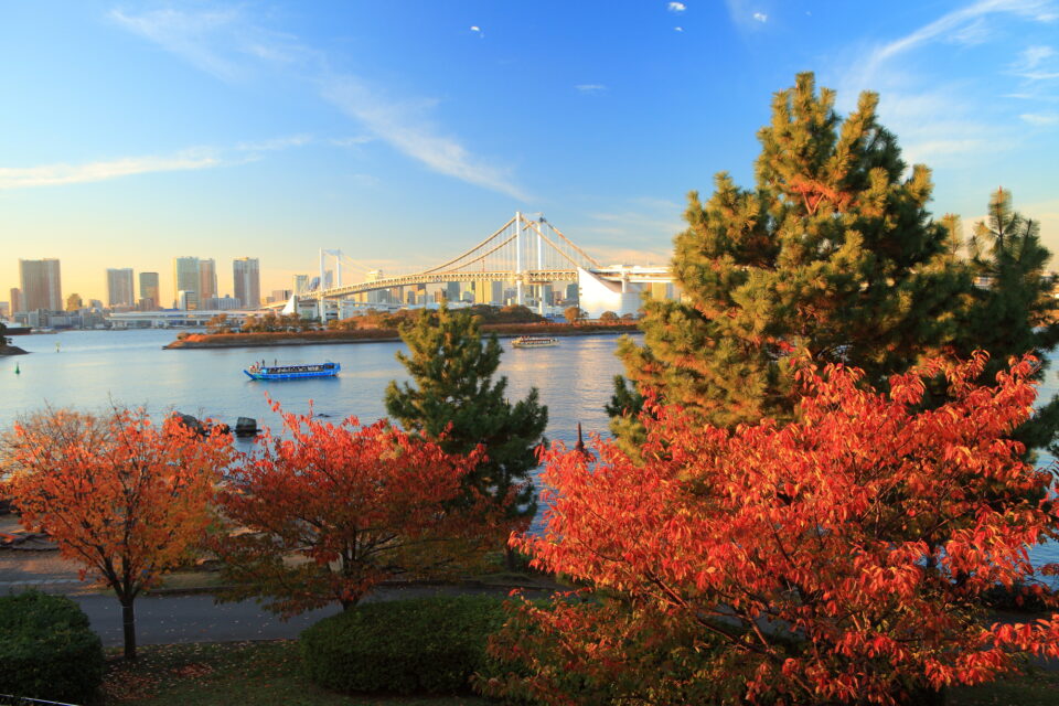 秋の紅葉とレインボーブリッジ